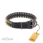 Extraordinary Leather Dog Collar 3 cm_2