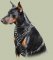 Leder Hundegeschirr H9 mit Spikes für Doberman