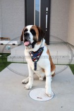 Bemaltes Hundegeschirr für St. Bernhardshund im USA Stil_1
