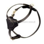 Hundegeschirr für kleine und mittelgroße Hunderassen_0