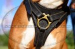 German Boxer Dog Harness Leather | Lightweight Padded Harness