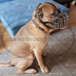 Metall Maulkorb aus Stahldraht für Cane Corso Hund_4