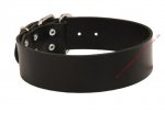Halsband aus Leder 50 mm breit für Hundesport_2