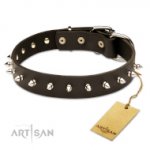 Feines Lederhalsband mit Spikes, 3 cm breit_0