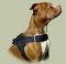 Hundegeschirr aus Nylon Pitbull K9