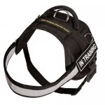 Praktisches Nylon Geschirr für Welpen | Welpen Sattelgeschirr_4