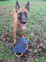 Beißkissen Hund aus French Linen Stoff, qualitativ_1