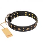 Leder Hundehalsband "A La Mode" FDT Artisan mit Sternen-Nieten