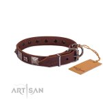 Edles Hundehalsband Leder mit Pyramiden-Nieten_6