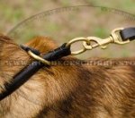 Zughalsband Leder für Gehorsam-Training von Malinois 2023