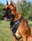 Leder Hundegeschirr für Deutschen Boxer, spitzenqualitativ