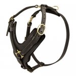 Hundegeschirr Leder TOP-Klasse | Hunde-Ledergeschirr fein_13