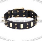 Exklusives Hundehalsband "Medieval Style"