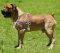 Trekking Brustgeschirr für Boerboel Mastiff