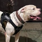 Hundegeschirr aus Nylon für Hundesport mit American Bulldog_0