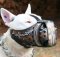 Bullterrier hand painted leather dog muzzle "Wire"