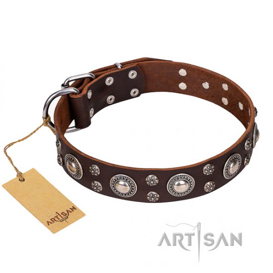 Leder Halsband für Hunde "Age of Beauty" FDT Artisan