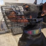 Hundesport Beißkorb aus gummiertem Draht für Dobermann_0
