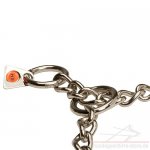 Kettenhalsband aus Edelstahl von HS für American Bully_3