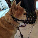 Leichter Hundemaulkor Leder für Shiba mit guter Luftzirkulation_1