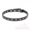 Enges Leder Hundehalsband mit winzigen Schmucken, elegant