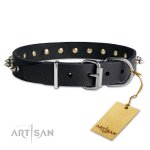 Feines Lederhalsband mit Spikes, 3 cm breit_2