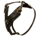 Hundegeschirr Flexibel | K9 Geschirr Luxusvariante ❶⓿