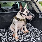 Bull Terrier Maulkorb aus Draht hochwertig ➉_1