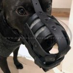 Amstaff Everyday Light Weight Ventilation Dog muzzle, Bestseller_2