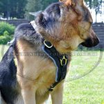 Hundegeschirr Leder TOP-Klasse | Hunde-Ledergeschirr fein_11