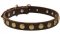 Hundehalsband Leder eng mit runden Messing-Schmucken, elegant
