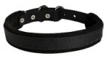 Hundehalsband Leder gepolstert in klassischem Design, eng