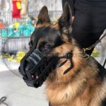 Leichter Hundemaulkorb Leder mit super Luftzirkulation_1