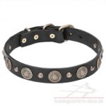 Hochwertiges Hundehalsband Leder mit runden Schildchen