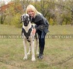 Maulkorb aus Leder für Deutsche Dogge, handgefertigt