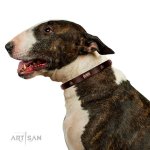 Hundehalsband Leder im einzigartigem Design, 20 mm breit_8