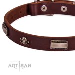 Hundehalsband Leder im einzigartigem Design, 20 mm breit_3