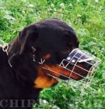 Rottweiler Drahtmaulkorb mit Polsterung