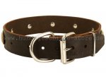 Labrador Lederhalsband im Retro Stil mit Platten Dekor_3