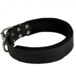 Lederhalsband gepolstert mit Filz, 4 cm