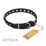 Elegantes Hundehalsband mit silberfarbigen Platten von FDT Artisan_1
