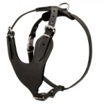 Hundegeschirr Leder für Schutzhund, gepolstert