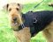 Airedale Terrier Nylon multi-purpose dog harness
