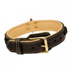 Gepolstertes Lederhalsband mit exklusivem Dekor für Dobermann_4