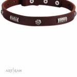 Halsband Leder 2 cm mit Barock Platten verziert_3