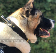 Lederhalsband für stabile Kontrolle mit Griff für Akita Inu