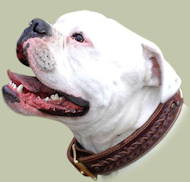 geflochtenes Hundehalsband aus Leder american bulldog
kaufen