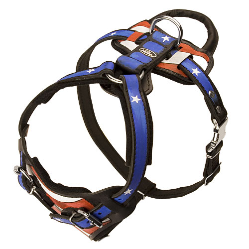 Padded Leather Harness for with Handle 