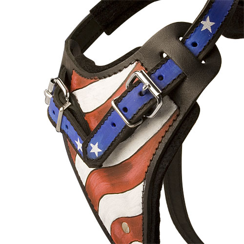 Style leather harness for Rottweiler