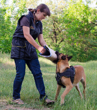 Beißkissen für Malinois | Schutzarm Filz für Beisstraining Beißkissen für Malinois | Schutzarm Filz für Beisstraining